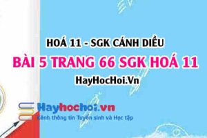 Bài 5 trang 66 SGK Hoá 11 Cánh diều